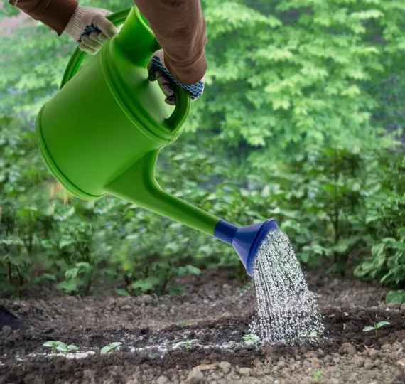 Лейка садовая, 10 л, с горловиной, пластмассовая Сибртех