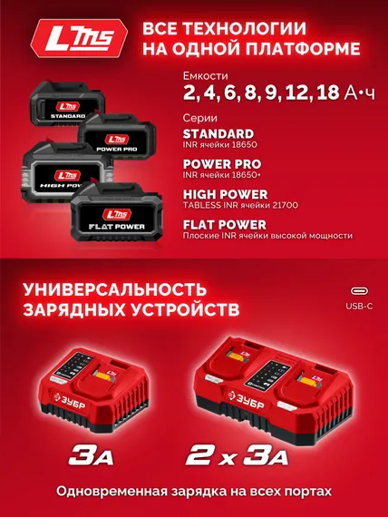 Бесщеточная дрель-шуруповерт, ЗУБР 20 В, 165 Н·м, 2 АКБ LMS (2 А·ч), сумка (ДБ-165-22)