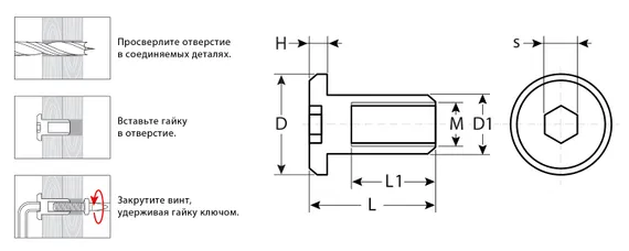 ЗУБР M6 x 12 мм, шест. 4 мм, цинк, 5 кг, гайка Эриксона с плоской головкой, Профессионал (303770-4)