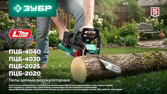 Пила цепная аккумуляторная ЗУБР 20 В, 250 мм шина, 1 АКБ LMS (2 Ач), (ПЦБ-2025-21)