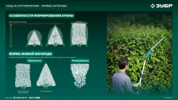 Кусторез аккумуляторный ЗУБР 20 В, 510 мм, без АКБ (LMS), (КРА-2051)
