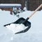 Лопата для уборки снега пластиковая, 360 х 405 х 1550 мм, деревянный черенок 1 сорт, Россия, Сибртех