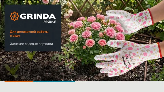 GRINDA PROTECT, S (7), садовые перчатки с прозрачным нитриловым покрытием, фиолетовые, 13 класс (11295-S)