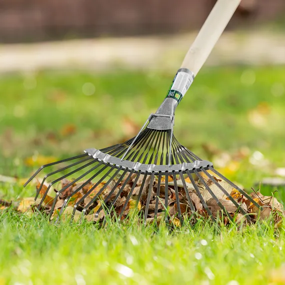 Грабли веерные стальные, 385 мм, 20 плоских зубьев, оксидированные, без черенка, Сибртех