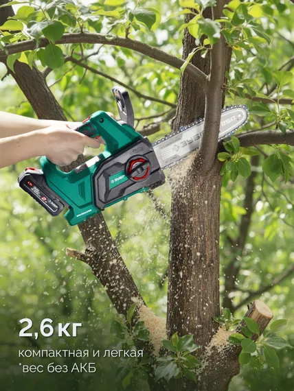 Пила цепная аккумуляторная ЗУБР 20 В, 250 мм шина, 1 АКБ LMS (2 Ач), (ПЦБ-2025-21)