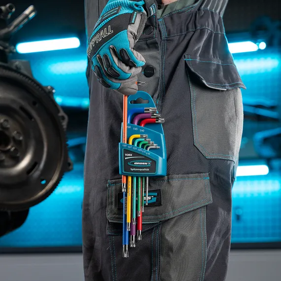 Набор ключей имбусовых Torx -TT, 9 шт: T10-T50, магнит, S2, экстра-длинные, хром/краска 9 шт Gross