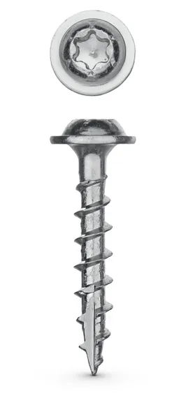 ЗУБР 19 х 4.2 мм, редкая резьба, ТХ20, цинк, 600 шт, саморез для глухих отверстий, Профессионал (30081-42-019)