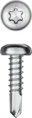 KRAFTOOL DS-P, 13 х 4.2 мм, А2, сверло, полукруглая головка, ТХ20, 600 шт, саморез нержавеющий (300931-42-013)
