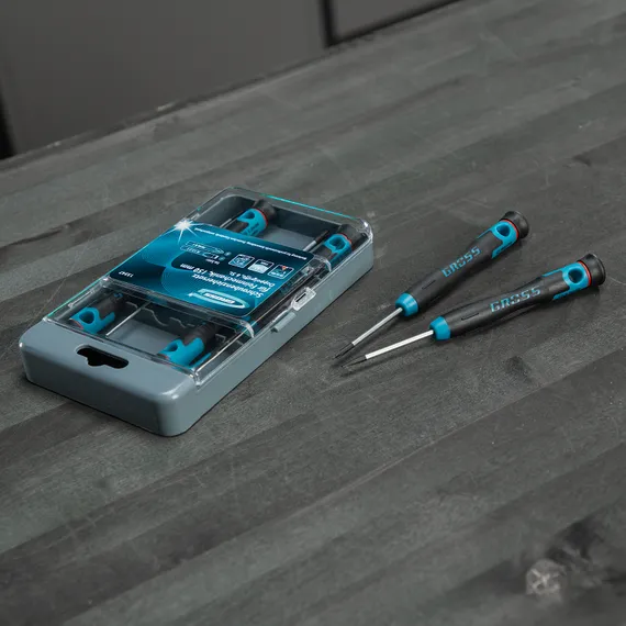 Набор отверток для точной механики, CrMo, двухкомпонентные рукоятки, 6 шт, пластиковый бокс Gross