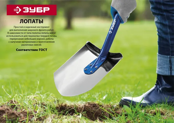 ЗУБР Профи-10, 210 х 150 х 660 мм, полотно 1.7 мм закалено, черенок из дуба высш. сорта с рукояткой, автомобильная лопата, Профессионал (39355)