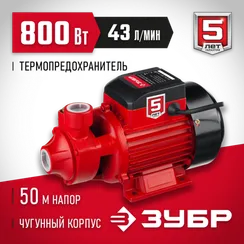 Поверхностный вихревой насос, корпус из чугуна ЗУБР 800 Вт (НС-М1-800-Ч)