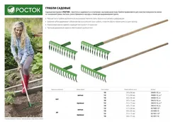 РОСТОК 260 x 60 мм, 10 прямых зубцов, грабли (39610-10)