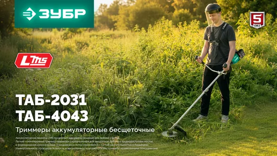 Триммер аккумуляторный садовый бесщеточный ЗУБР 20 В, 310 мм, 1 АКБ LMS (2 Ач), (ТАБ-2031-21)