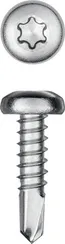 KRAFTOOL DS-P, 13 х 3.5 мм, А2, сверло, полукруглая головка, ТХ15, 1000 шт, саморез нержавеющий (300931-35-013)