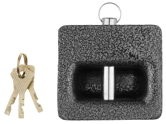 ЗУБР 85 х 80 мм, повышенной защищенности, дисковый механизм секрета, навесной замок (3720-10)