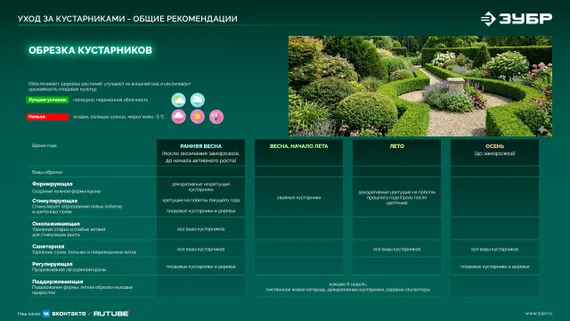 Кусторез аккумуляторный бесщеточный ЗУБР 40 В (2x20В), 610 мм, 2 АКБ LMS (4 Ач), (КРА-4061-42)